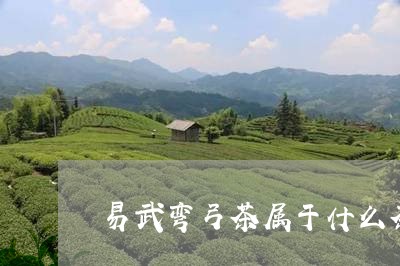 易武弯弓茶属于什么茶/2023092383806