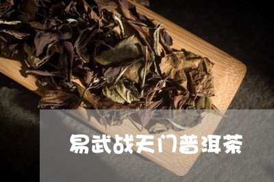 易武战天门普洱茶/2023120427471