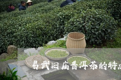 易武旧庙普洱茶的特点/2023072454716