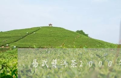 易武普洱茶2000年/2023100842925