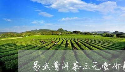 易武普洱茶三元堂价格表/2023110637361