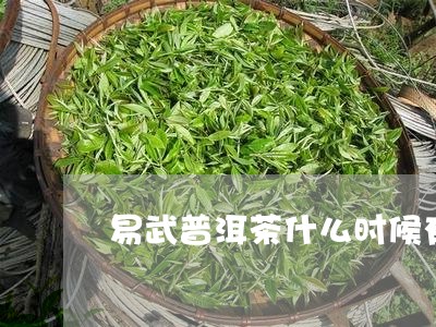 易武普洱茶什么时候有/2023092670793