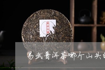 易武普洱茶哪个山头的茶比较香甜/2023082874126