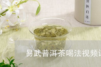 易武普洱茶喝法视频讲解/2023082927259