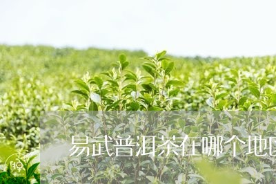 易武普洱茶在哪个地区/2023101797382