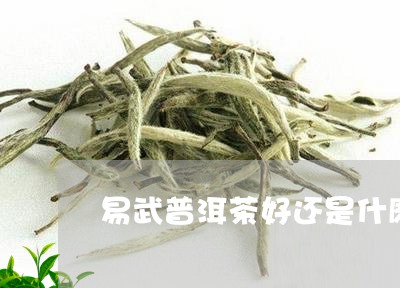 易武普洱茶好还是什麽/2023092711716