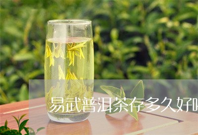 易武普洱茶存多久好喝/2023082903725