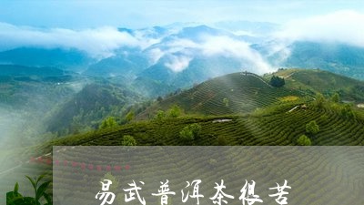 易武普洱茶很苦/2023112683603