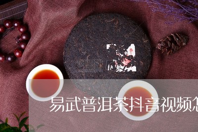 易武普洱茶抖音视频怎么拍/2023112931794