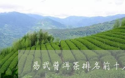 易武普洱茶排名前十名/2023092616058