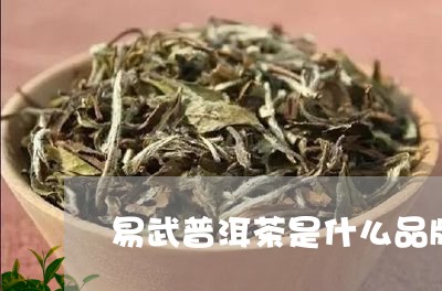 易武普洱茶是什么品牌/2023062256352