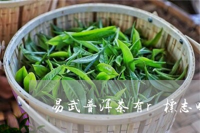 易武普洱茶有r标志吗/2023092719682