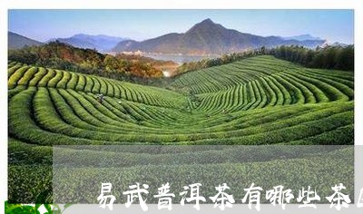 易武普洱茶有哪些茶区和特点/2023082698250