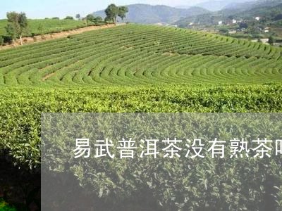 易武普洱茶没有熟茶吗/2023062232036