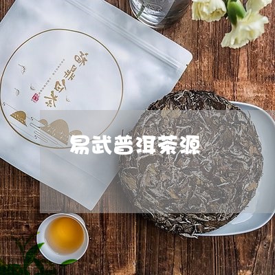 易武普洱茶源/2023102523956