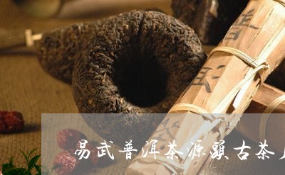 易武普洱茶源头古茶厂/2023072400836