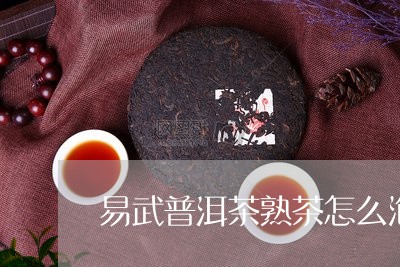 易武普洱茶熟茶怎么泡/2023121693030