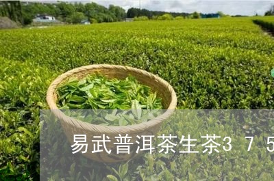 易武普洱茶生茶375/2023080317159