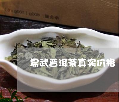 易武普洱茶真实价格/2023120591504