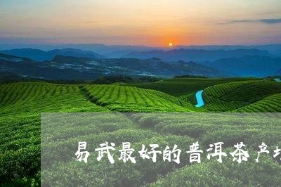 易武最好的普洱茶产地是哪里/2023052914938