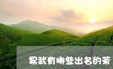 易武有哪些出名的茶/2023042679724