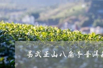 易武正山八角亭普洱茶/2023092507270