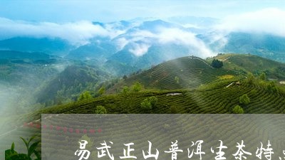 易武正山普洱生茶特点/2023092589470