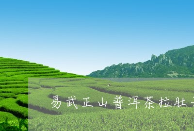 易武正山普洱茶拉肚子/2023061658493