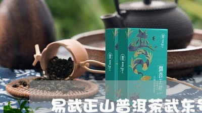 易武正山普洱茶武东号/2023092688792