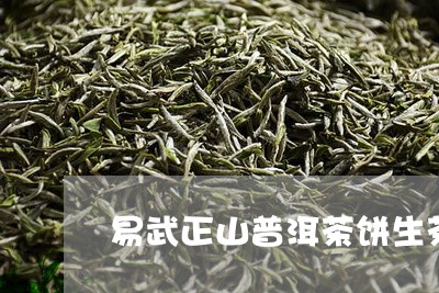 易武正山普洱茶饼生茶/2023062270562