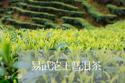 易武沱王普洱茶/2023112679471