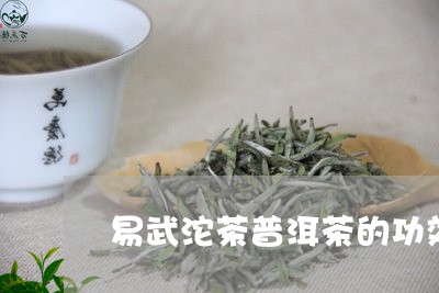 易武沱茶普洱茶的功效/2023073092815