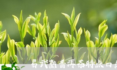 易武熟普洱茶特点口感/2023062438472