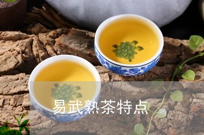 易武熟茶特点/2023090715058