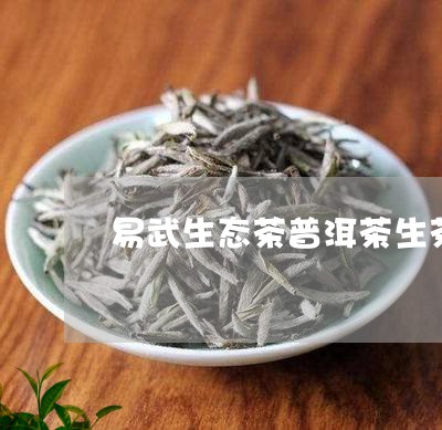 易武生态茶普洱茶生茶大叶茶图片/2023060384048