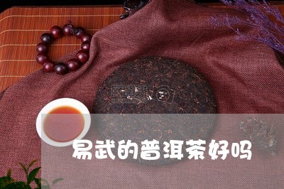 易武的普洱茶好吗/2023101679691