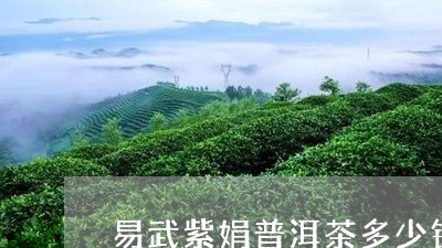 易武紫娟普洱茶多少钱一斤/2023051162817