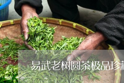 易武老树圆茶极品珍藏/2023061171926