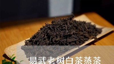 易武老树白茶蒸茶/2023062150493