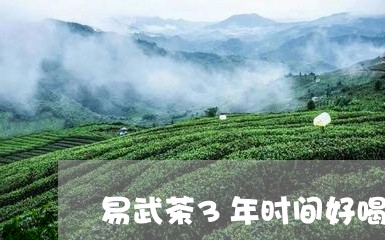 易武茶3年时间好喝吗/2023092394946