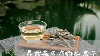 易武茶区有哪些寨子/2023042632917