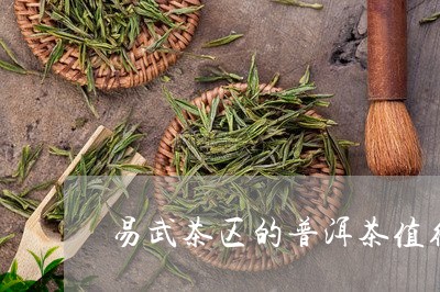 易武茶区的普洱茶值得存茶吗/2023110409404