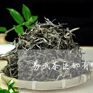 易武茶区都有哪些茶山/2023092358561