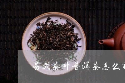 易武茶叶普洱茶怎么样/2023061648371