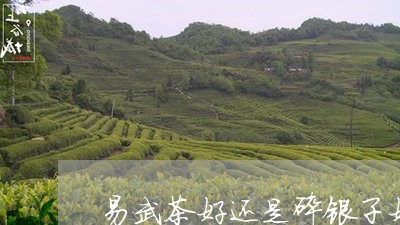 易武茶好还是碎银子好/2023061149724