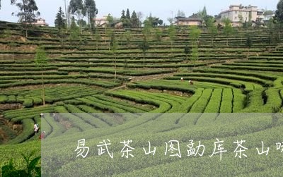 易武茶山图勐库茶山哪座有名/2023052745360