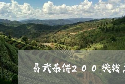 易武茶饼200块钱怎么样/2023051273827