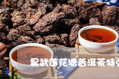 易武莲花塘普洱茶特点/2023062265159