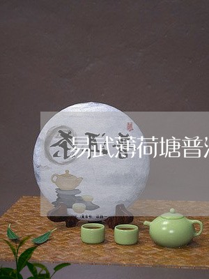 易武薄荷塘普洱茶简介/2023092872847