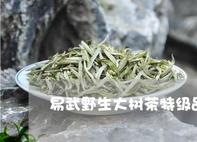 易武野生大树茶特级品/2023092347565